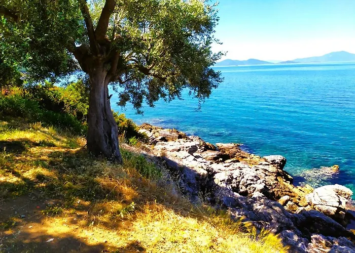 Leonidas Greecefiloxenia Lefókasztro