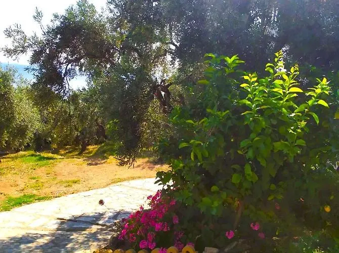 Leonidas Greecefiloxenia Apartmanhotel