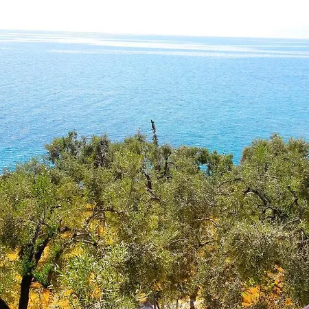 Leonidas Greecefiloxenia Lefokastro