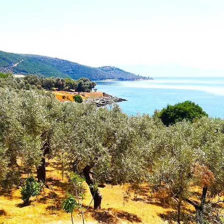 Aparthotel Leonidas Greecefiloxenia Lefokastro