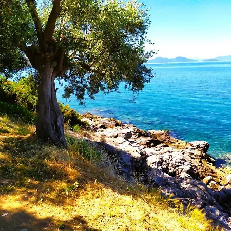 Leonidas Greecefiloxenia Lefokastro