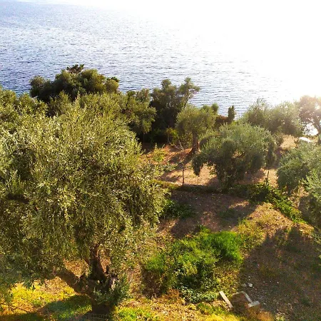 Leonidas Greecefiloxenia * Lefokastro