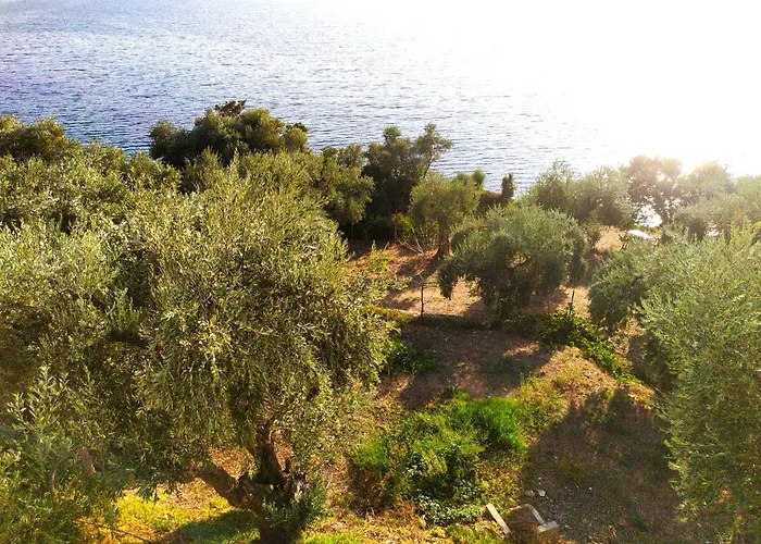 Leonidas Greecefiloxenia 4* Lefokastro